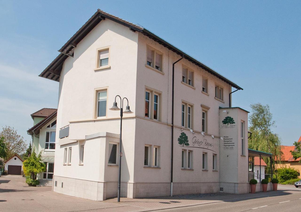 Hotel Der Grüne Baum Sinsheim Exterior foto